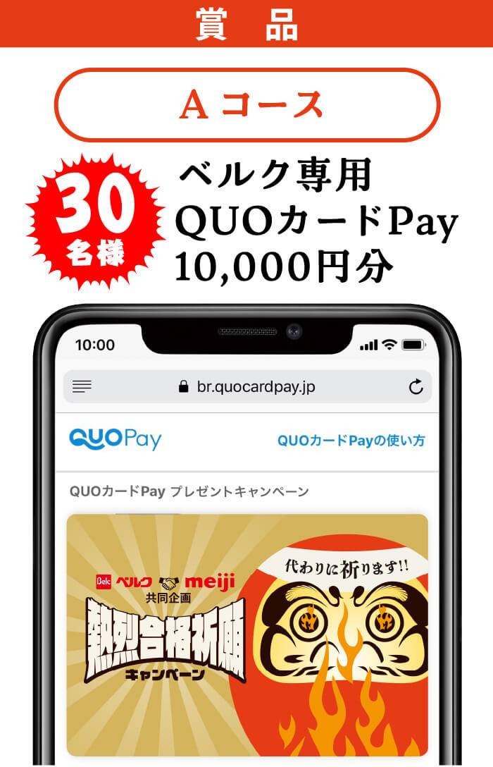 Aコース:ベルク専用QUOカードPay10,000円分