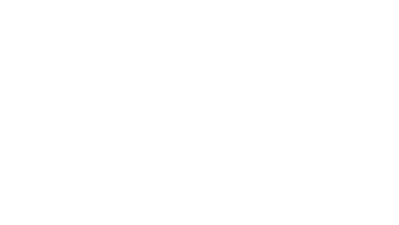 「疾如風、徐如林、侵掠如火、不動如山」